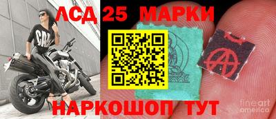 стаф Ливны