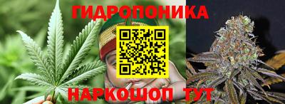 амф Лесосибирск